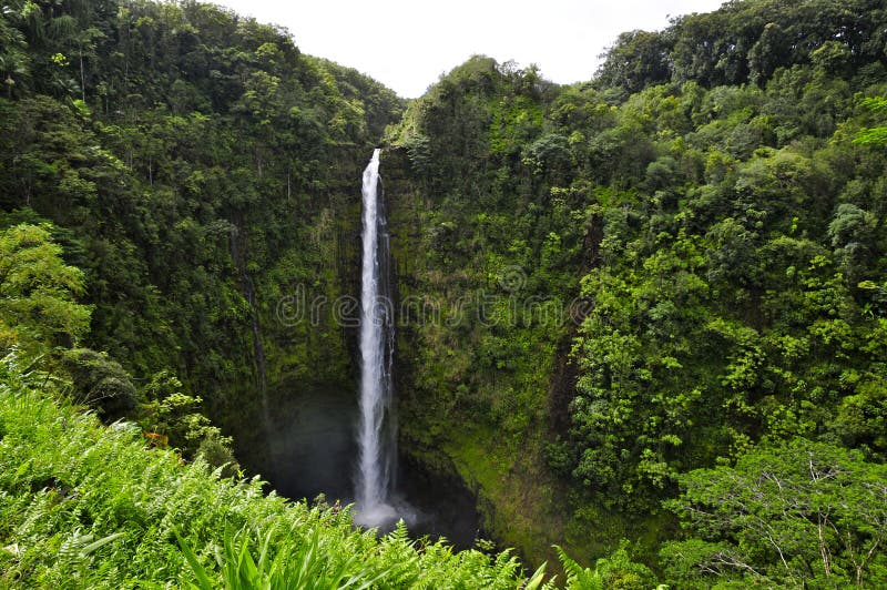 Hawaiiaanse Waterval stock fotografie Hawaiiaanse Waterval stock fotografie