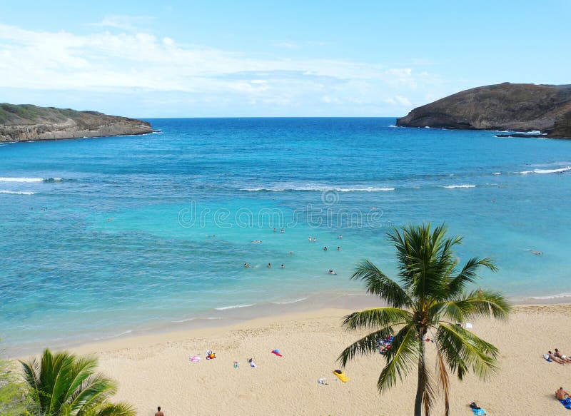 Hawaiian beach royalty free stock image