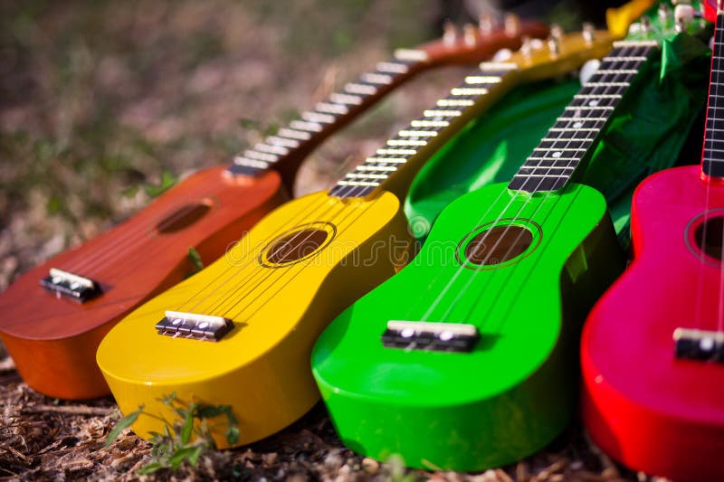 Hawaiian instrument ukulele