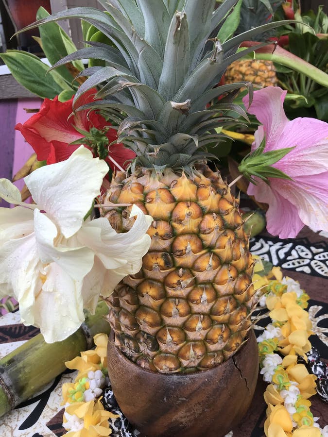 Exoptic Stock Photos Free & RoyaltyFree Stock Photos from Dreamstime