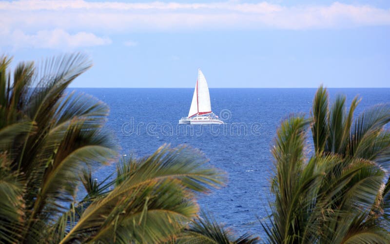 Hawaiian Sails royalty free stock photo