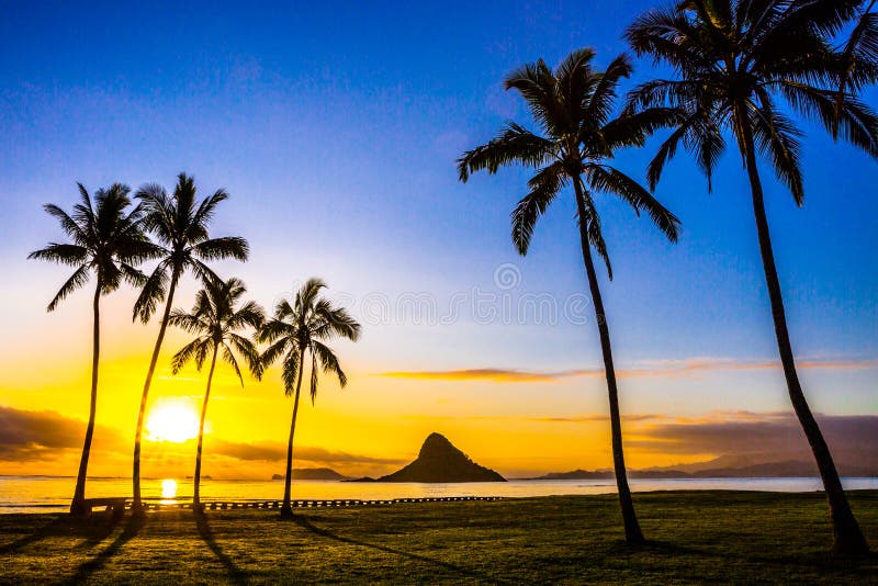 Hawaiian Sunrise stock photography