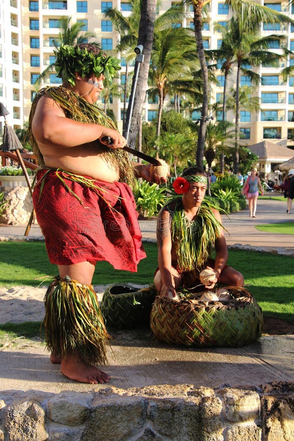 Hawaiisches luau stockbild Hawaiisches luau stockbild