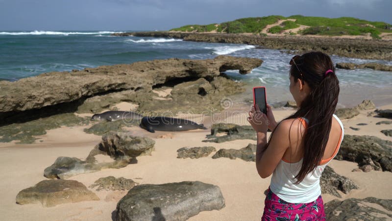 Hawaï- touriste en prenant des photos des joints de moine hawaiian