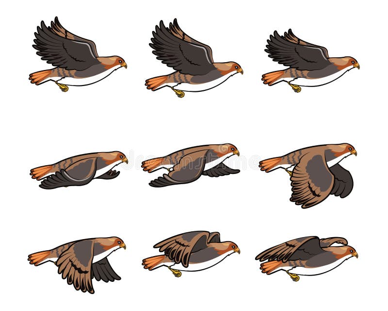 Hawk Flying Sprite stock vector. Illustration of wings - 54924577