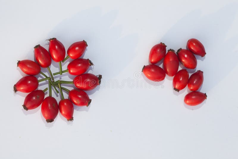 Hawthorn stock afbeeldingen