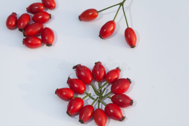 Hawthorn stock afbeeldingen