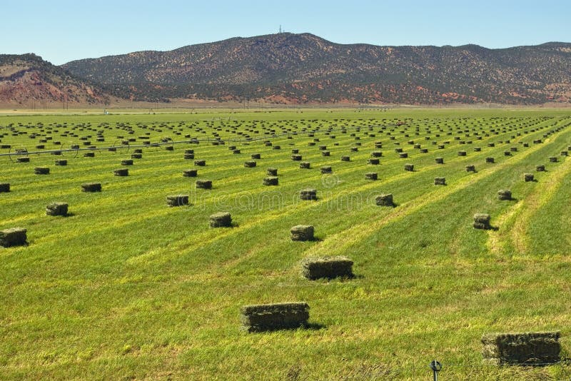 Idaho Hay Bales stock image. Image of nature, landscape 15518045