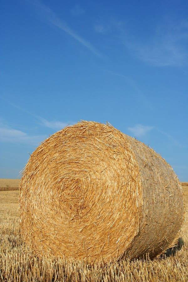 Hay bale