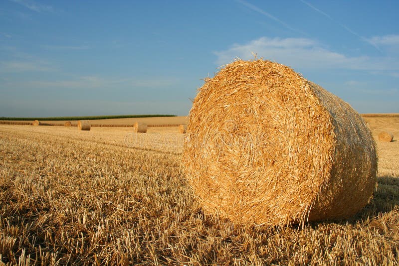 Hay bale