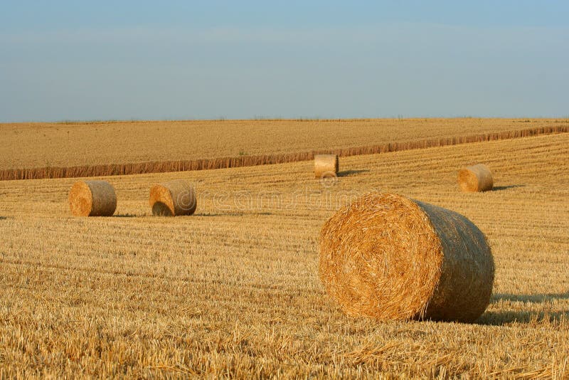 Hay bale