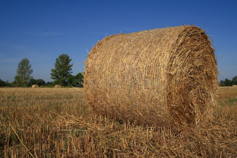 Hay bale stock images
