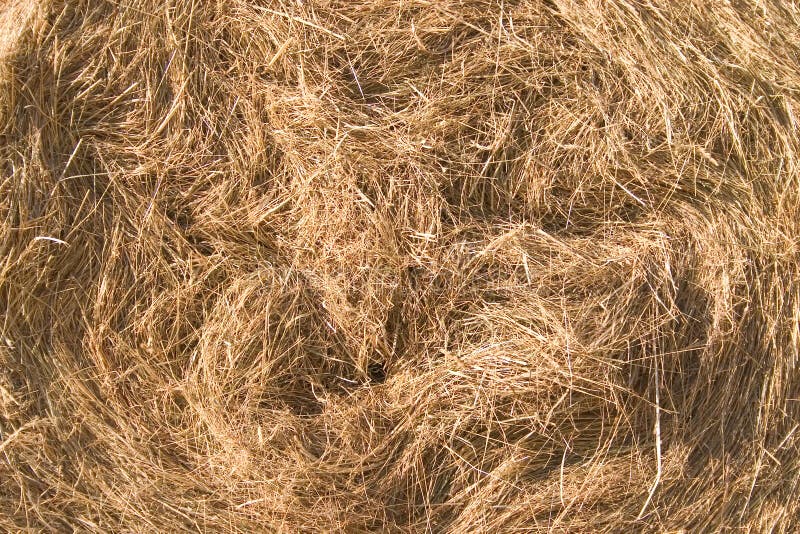 Hay bale