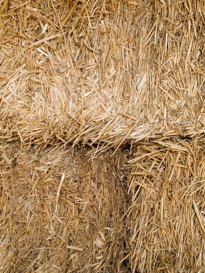 Hay bale closeup