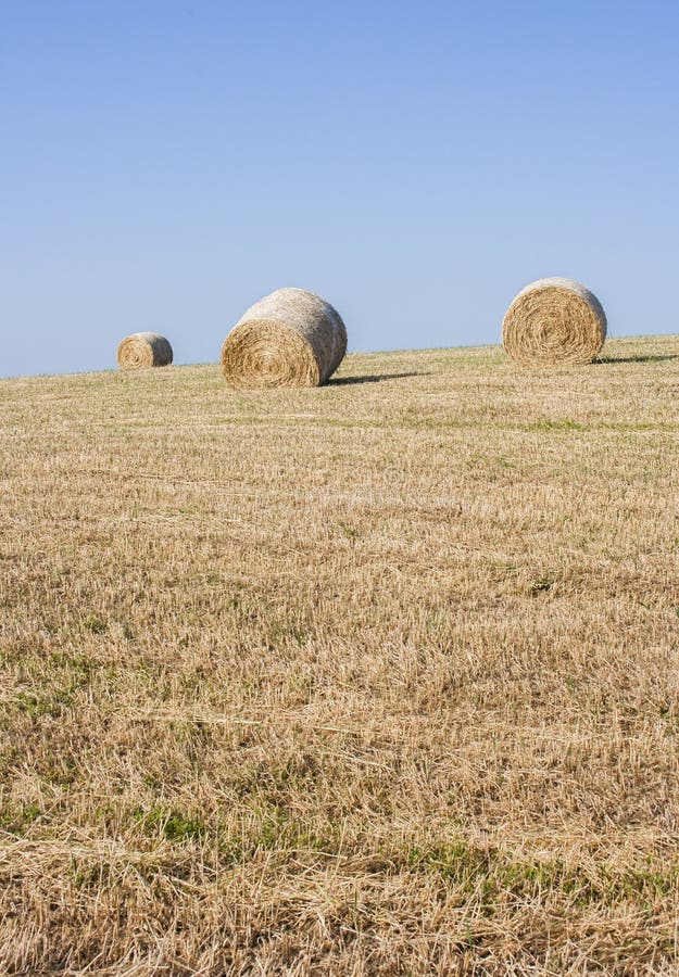 Hay bale drying in the field at harvest time. royalty free stock images
