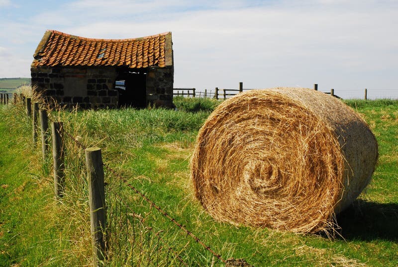 Hay bale in field stock images