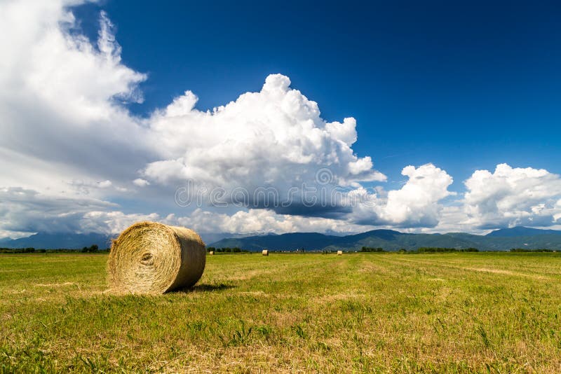 Hay bale in the fields of italy stock photography Hay bale in the fields of italy stock photography