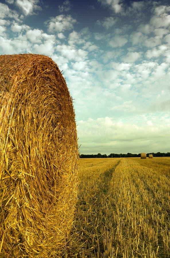 Hay bale in a french field stock image. Image of rural 26372535