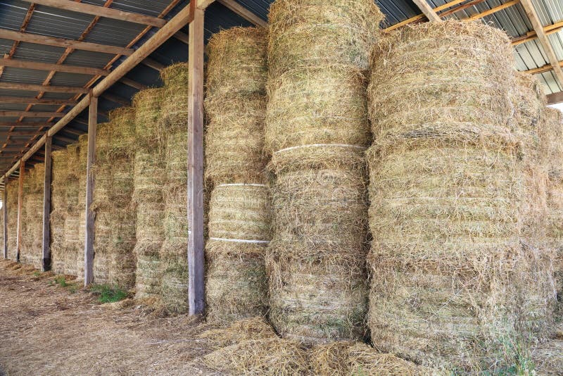 hay bale stacked in barn stock photos - image: 26867373