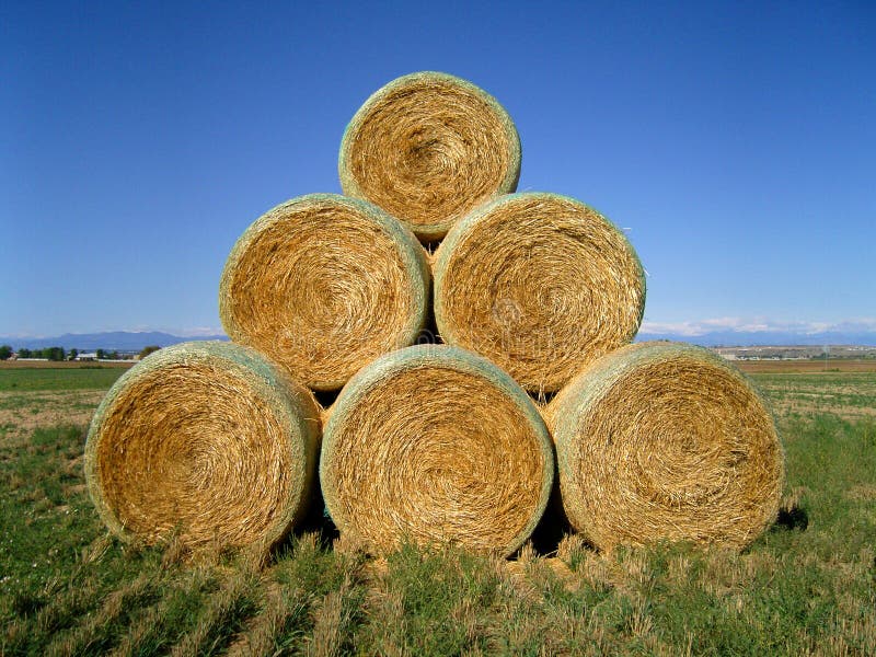 Hay Bales 1 stock image. Image of vegitation, green, agriculture 1277821