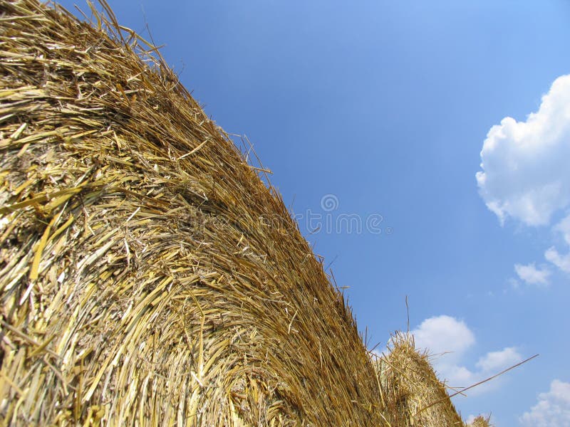 Hay bales 2