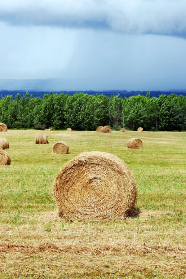 Hay bales stock image. Image of outside, farm, grass, remote 2933893