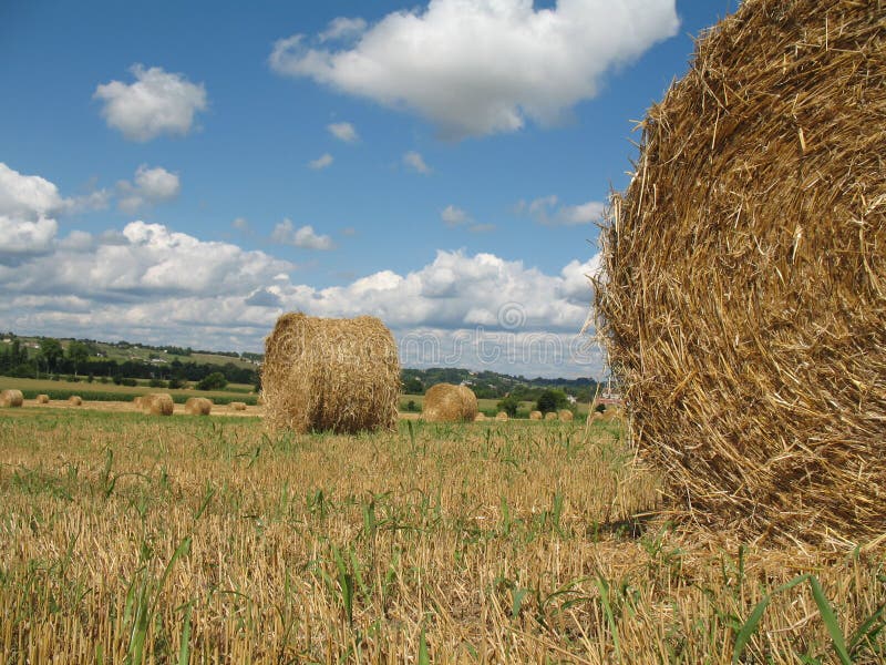 Hay bales