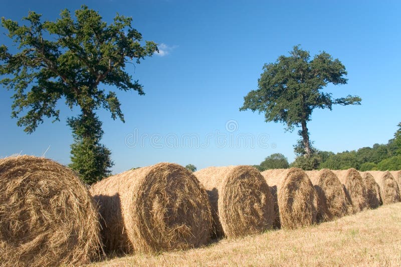 Hay bales