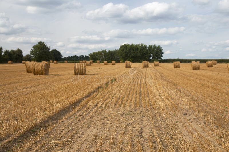 Hay bales