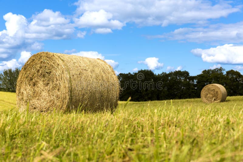 Hay bales on the field after harvest, countryside landscape, beautiful sky