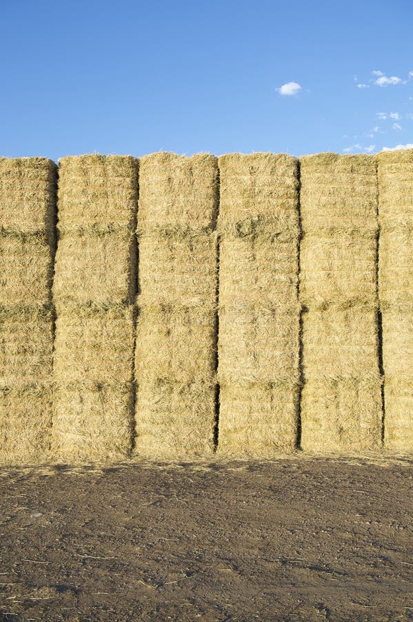 Hay Bales Haystack Under Blue Sky stock photography