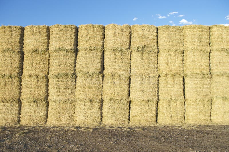 Hay Bales Haystack Under Blue Sky royalty free stock photos