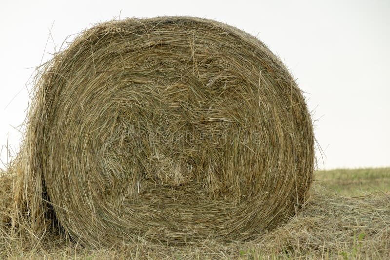 Hay bales and haystacks on the field during autumn.