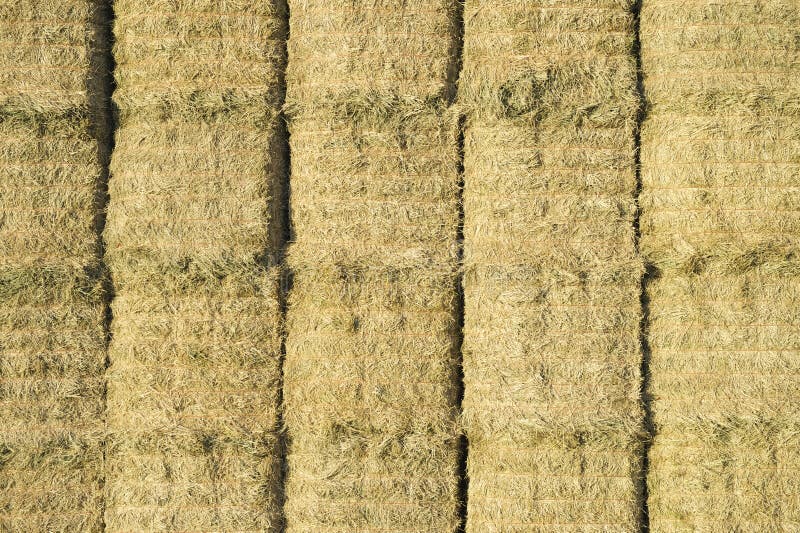 Hay Bales Line Up in Rectangular Haystack stock image