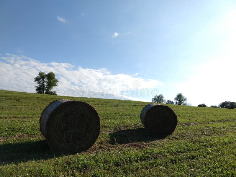 Balíky sena na lúke počas jesene.