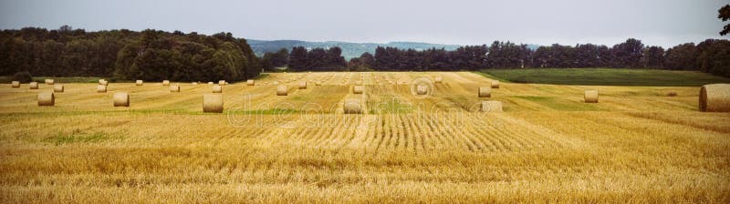 Líneas de pacas de heno sobre el.