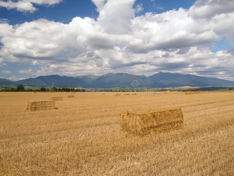 Hay balles in Liptov, Slovakia royalty free stock images Hay balles in Liptov, Slovakia royalty free stock images