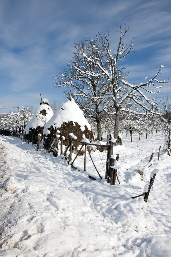 Hay on snowy household