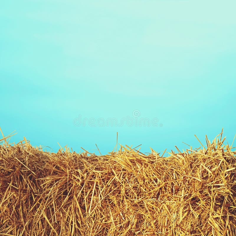 Hay with color background