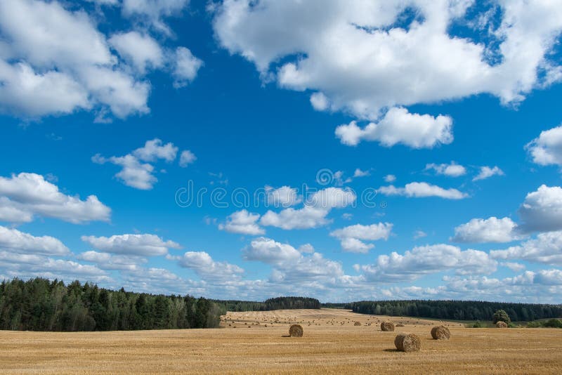 Hay field clouds