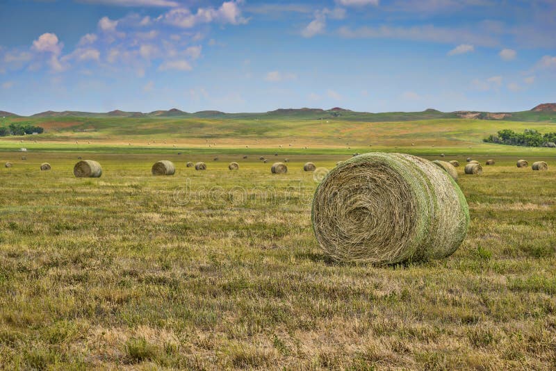 Hay field, Wyoming stock image. Image of scenic, travel 58397563