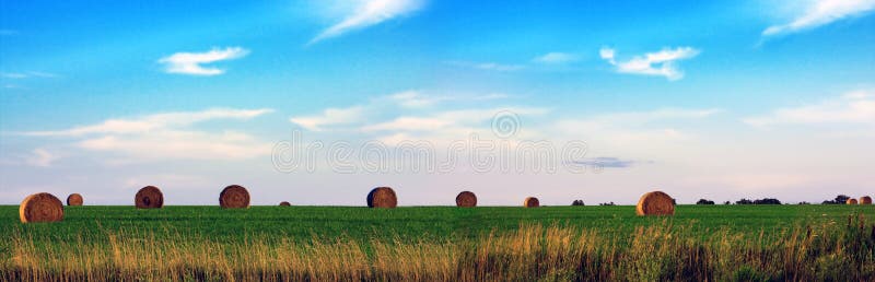 Hay Field Panoramic