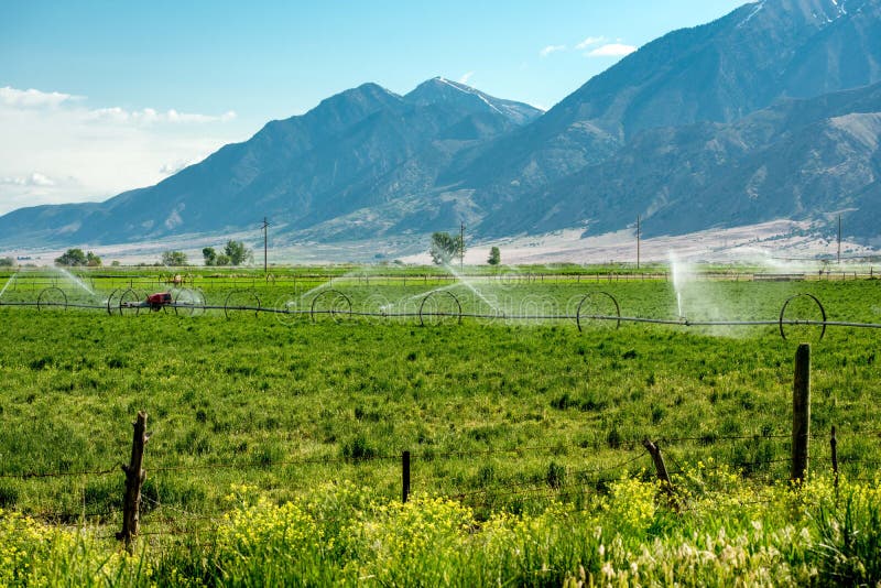 Farming Irrigation Ditch Head Gate Stock Image Image of head, cement