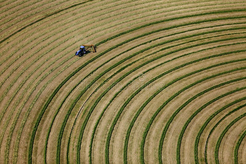An Aerial View of Alfalfa Hay Being Harvested. Editorial Stock Photo