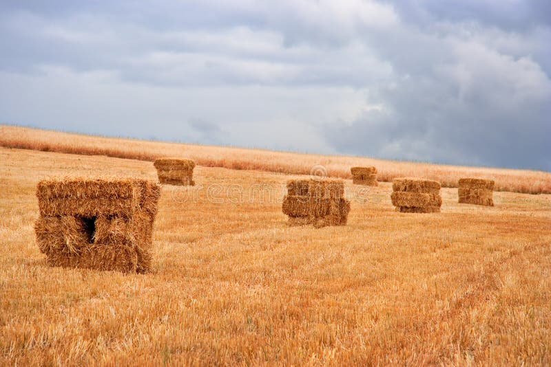 Hay pile