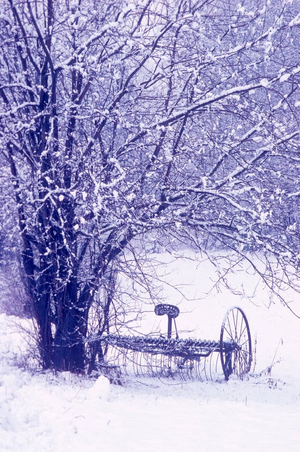 Hay Rake stock photo. Image of country, scenic, trees 299475992