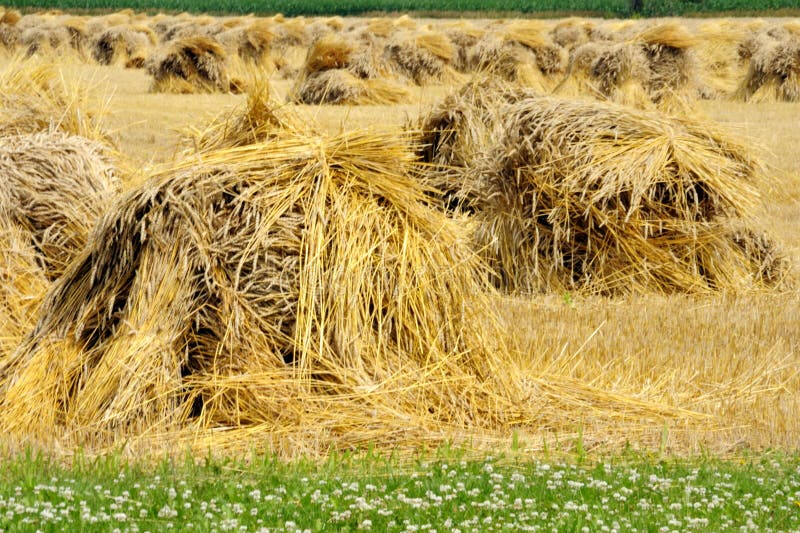 Hay Stack