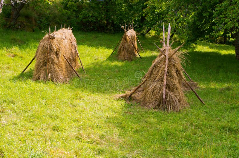 Hay stacks royalty free stock photography Hay stacks royalty free stock photography