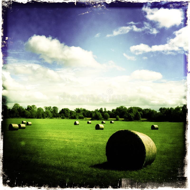 Hay stacks in green field