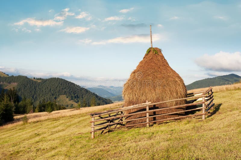 Hay stacks on meadow at Carpathian mountains. Ukraine